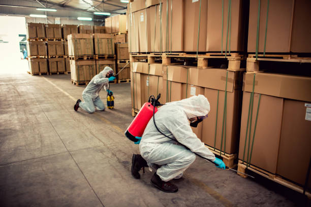 Best Best Pest Control Companies  in Fruitdale, CA