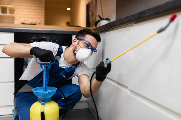 Best Residential Pest Control  in Fruitdale, CA