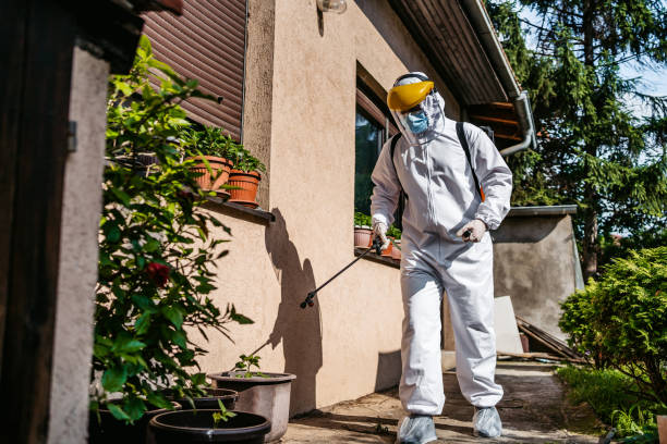 Trusted Fruitdale, CA Pest Control Experts