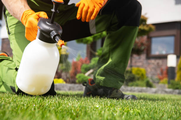 Best Ant Control Services  in Fruitdale, CA