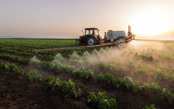 Best Best Pest Control Companies  in Fruitdale, CA