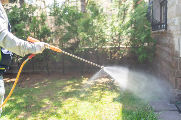 Best Pest Removal Services  in Fruitdale, CA