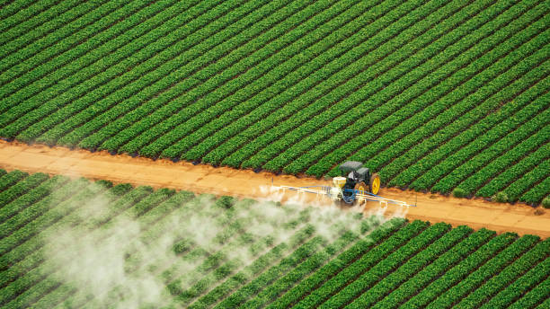 Pest Control Cost in Fruitdale, CA