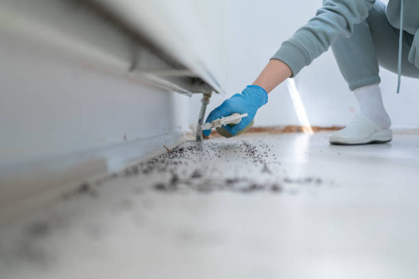 Best Best Pest Control Companies  in Fruitdale, CA